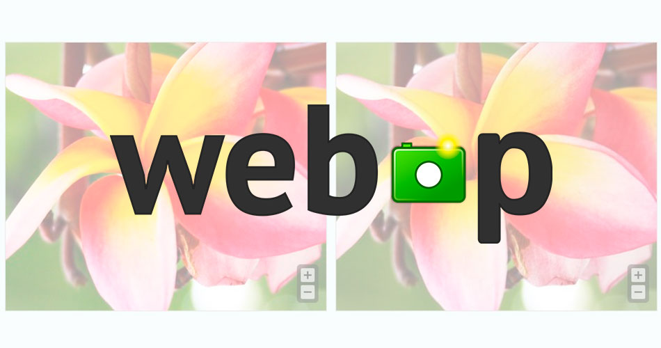 Usar imágenes WebP