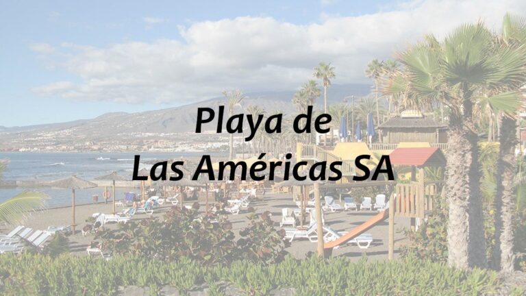 Aplicación web para Playa de Las Américas SA